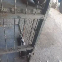 گنجه جفت کن|لوازم جانبی حیوانات|محمدشهر, جعفرآباد|دیوار