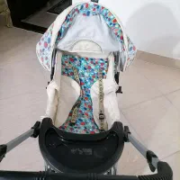 کالسکه مارک دلیجان