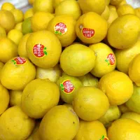 لیمو درجه1وآبلیمو طبیعی موجود می‌باشد