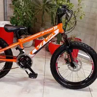 دوچرخه20 ویوا پارسال گرفتم10بار سوارنشد مشابه نو