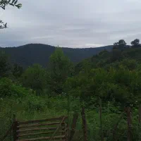 سرایدار|استخدام سرایداری و نظافت|رستمآباد, |دیوار