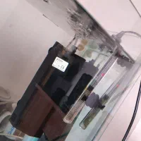 آکواریوم بزرگ|ماهی|میاندوآب, |دیوار