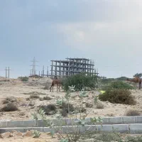 زمین مسکونی شهرک جدید ( مهستان )  بام شهر قشم|فروش زمین و ملک کلنگی|قشم, |دیوار