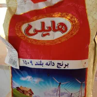 برنج هایلی