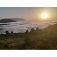 زمین-باغی