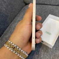 ایفون ۱۳ نرمال|موبایل|تربت‌حیدریه, بوستان باغ ملی|دیوار