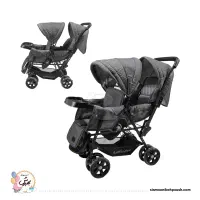 کالسکه دوقلوی دلیجان