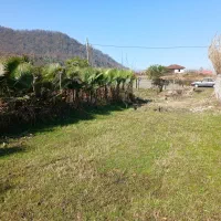 زمین۲۵۰متری بافت باغات سنددارویو ابدی کمیلیه