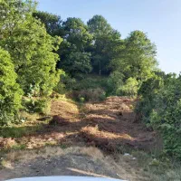 460 متر زمین مسکونی سند تک برگی|فروش زمین و ملک کلنگی|تهران, حسن‌آباد|دیوار