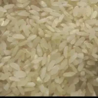 فروش برنج کامفیروزی