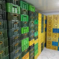 دعوت به همکاری و استخدام و جذب بازاریاب و ویزیتور|استخدام بازاریابی و فروش|نجفآباد, دفاع مقدس|دیوار