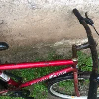 دوچرخه۲۴|دوچرخه، اسکیت، اسکوتر|سنگر, |دیوار