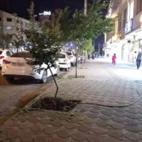 فروشنده خانم مجردو مجرب زیر۳۰ سال