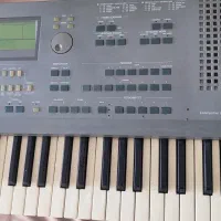 کرگ is40|پیانو، کیبورد، آکاردئون|تبریز, |دیوار