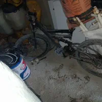 دوچرخه 24|دوچرخه، اسکیت، اسکوتر|مانه, |دیوار