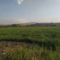 زمین کشاورزی، دامداری و شیلات