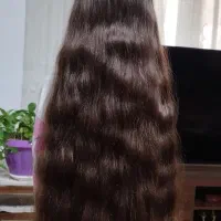 خریدار اصلی مو