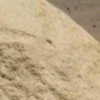 .... فروش کاه