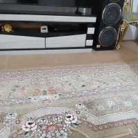 قالی و میز تلوزیون|فرش|شیروان (خراسان), |دیوار
