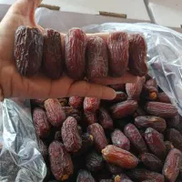 خرمای مجول پادشاه خرماها جهت سفارش