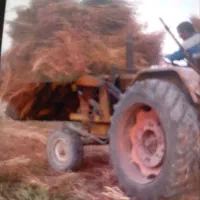 جارو محلی تعداد بالا|لوازم نظافت|سبزوار, کلاته سیفر|دیوار