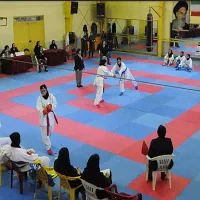 تاتامی/اجاره/مسابقات/تجهیزات ورزشی|تجهیزات ورزشی|تهران, ترمینال غرب|دیوار