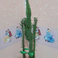 افوربیا دیفن زیپلین