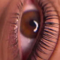 مدل جهت تکمیل آلبوم کاری اکستنشن مژه|خدمات آموزشی|پیشوا, |دیوار