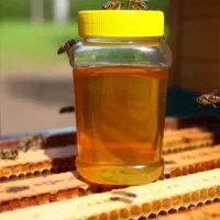 عسل 100درصد طبیعی جنگل