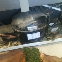 گازیخچال منصفترین|خدمات پیشه و مهارت|مشهد, کوی سیدی|دیوار