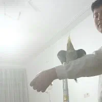 فروش فوری عروس هلندی