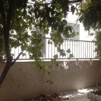 همکف ۳ خواب باغ جنت