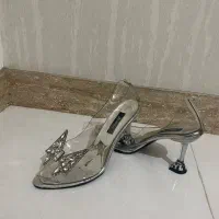 کفش مجلسی