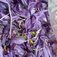 نیازمند کارگر