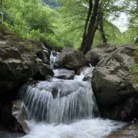 تورهای طبیعت گردی
