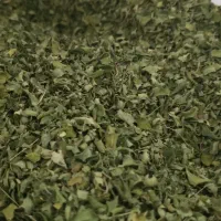 برگ مورینگا سرت شده کیفیت بالا