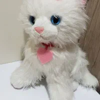 تعدادی عروسک وارداتی نو ودر حدنو با قیمتهای متفاوت|اسباب‌بازی بچه|شیراز, کلاهدوز|دیوار