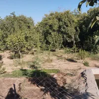 باغچه نقلی خوش اب هوا|فروش زمین و ملک کلنگی|قاهان, |دیوار