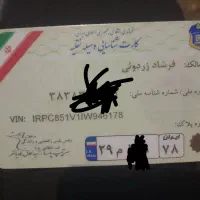 مدارک گم شده|اشیا|کرمانشاه, |دیوار