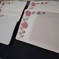 ۴عدد دیس چینی.  پردیس