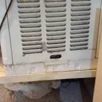 فروش فوری کولرابی