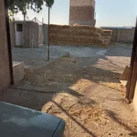 فروش یک واحد گاوداری|فروش دفتر صنعتی، کشاورزی، تجاری|دشتابی, |دیوار