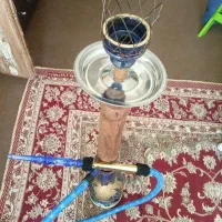 قیلان تنه چوب نو|کلکسیون و سرگرمی|کرمان, |دیوار