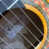 گیتار|گیتار، بیس، امپلیفایر|لاهیجان, کوی آزادگان|دیوار