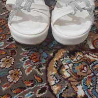 دمپایی مجلسی