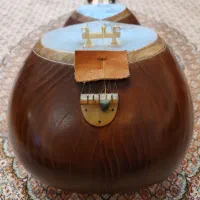 تار حرفه ای