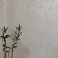 رهن و اجاره منزل ویلایی دلباز در اردیبهشت