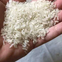 برنج پاکستانی آرسیکس