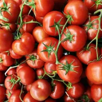 گوجه 28 *پیاز 35 *سیب زمینی 45 *