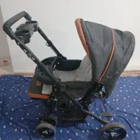 کالسکه و روروئک دلیجان